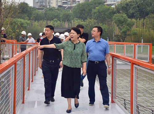 8月4日,成都市武侯区区委副书记,区长,党组书记林丽调研武侯区"宜居
